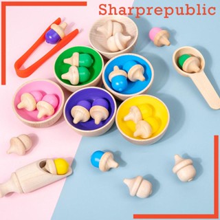 [Sharprepublic] ลูกบอลมอนเตสซอรี่ สําหรับฝึกคิดตรรกะ