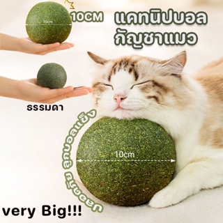 😻พร้อมส่ง😻ซุปเปอร์ใหญ่ แคทนิปบอล กัญชาแมว ของเล่นแมวเลีย   catnip ball 10cm ผ่อนคลาย อารมณ์ดี