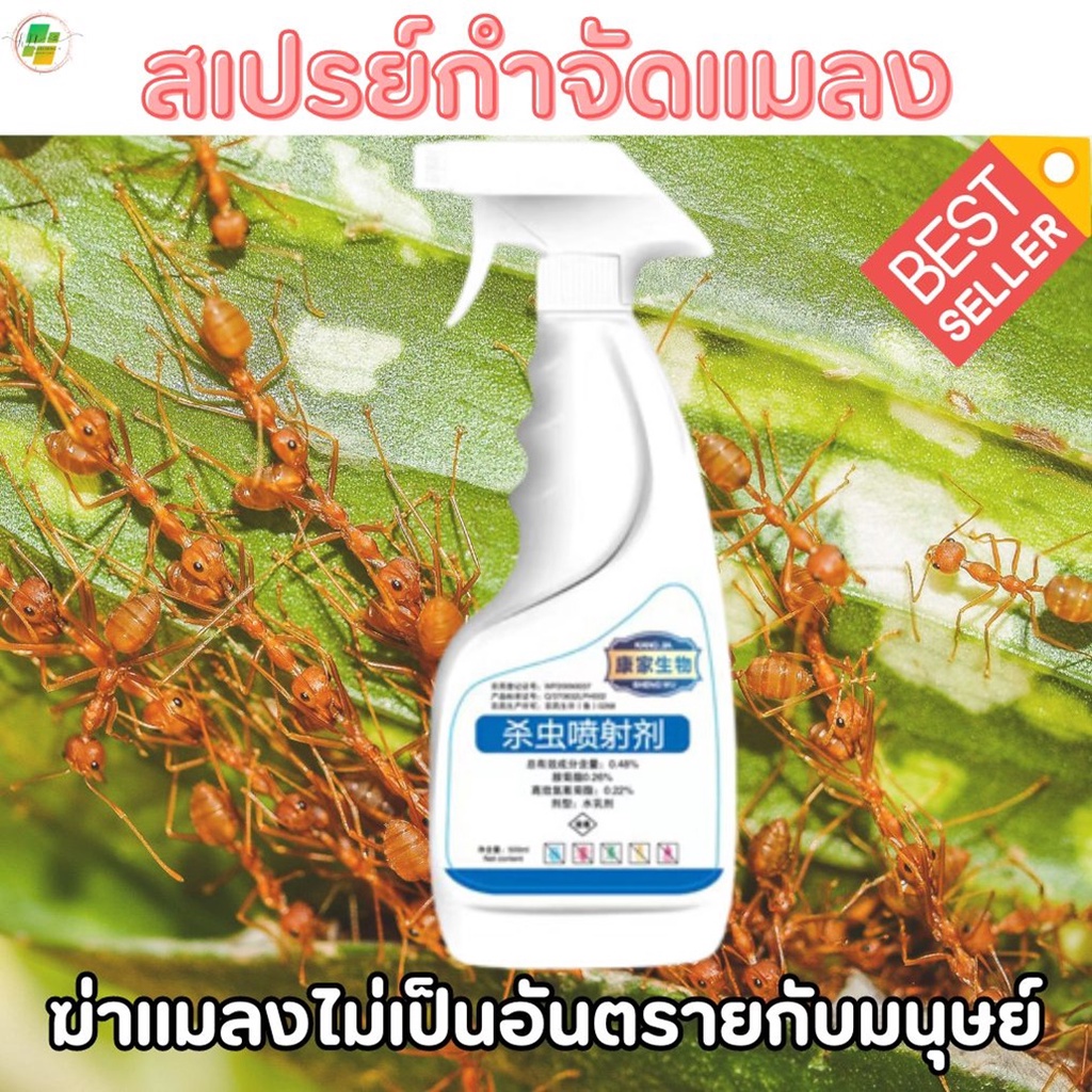 สเปรย์ฉีดกำจัดด้วงก้นกระดก ที่ไล่แมลงหวี่คอนโด วิธีป้องกันตัวไรฝุ่น ส่งจากไทย Repellent Spray น้ำยากำจัดทาก