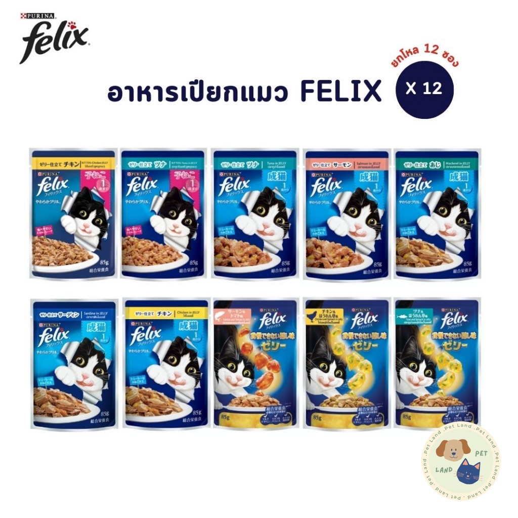FELIX [ยกโหล 12 ซอง] เฟลิกซ์ อาหารเปียกแมว อาหารน้องแมว ขนาด 85 กรัม