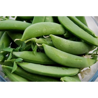 เมล็ดพันธุ์ ถั่วลันเตา ถั่วลังเตาหวาน 40 เมล็ด [10 แถม 1 คละได้]