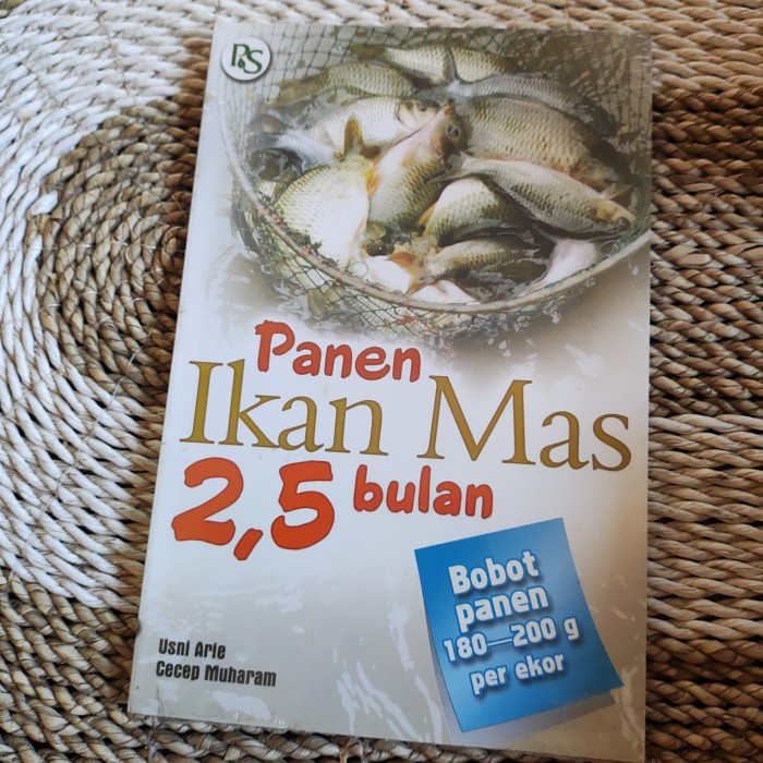 2.5 MONTHS GOLDEN FISH HARVEST - USNI ARIE