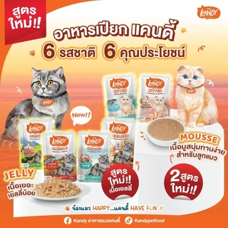 [ยกโหล 12 ซอง] Kandy แคนดี้ อาหารเปียกแมว ไม่ใส่เกลือ ผลิตจากปลาเนื้อขาว ขนาด 70 กรัม