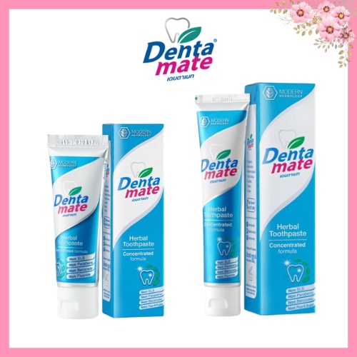ยาสีฟัน DentaMate 100g (Denta Mate) มิ้นต์ฟ้า กล่องสีฟ้า