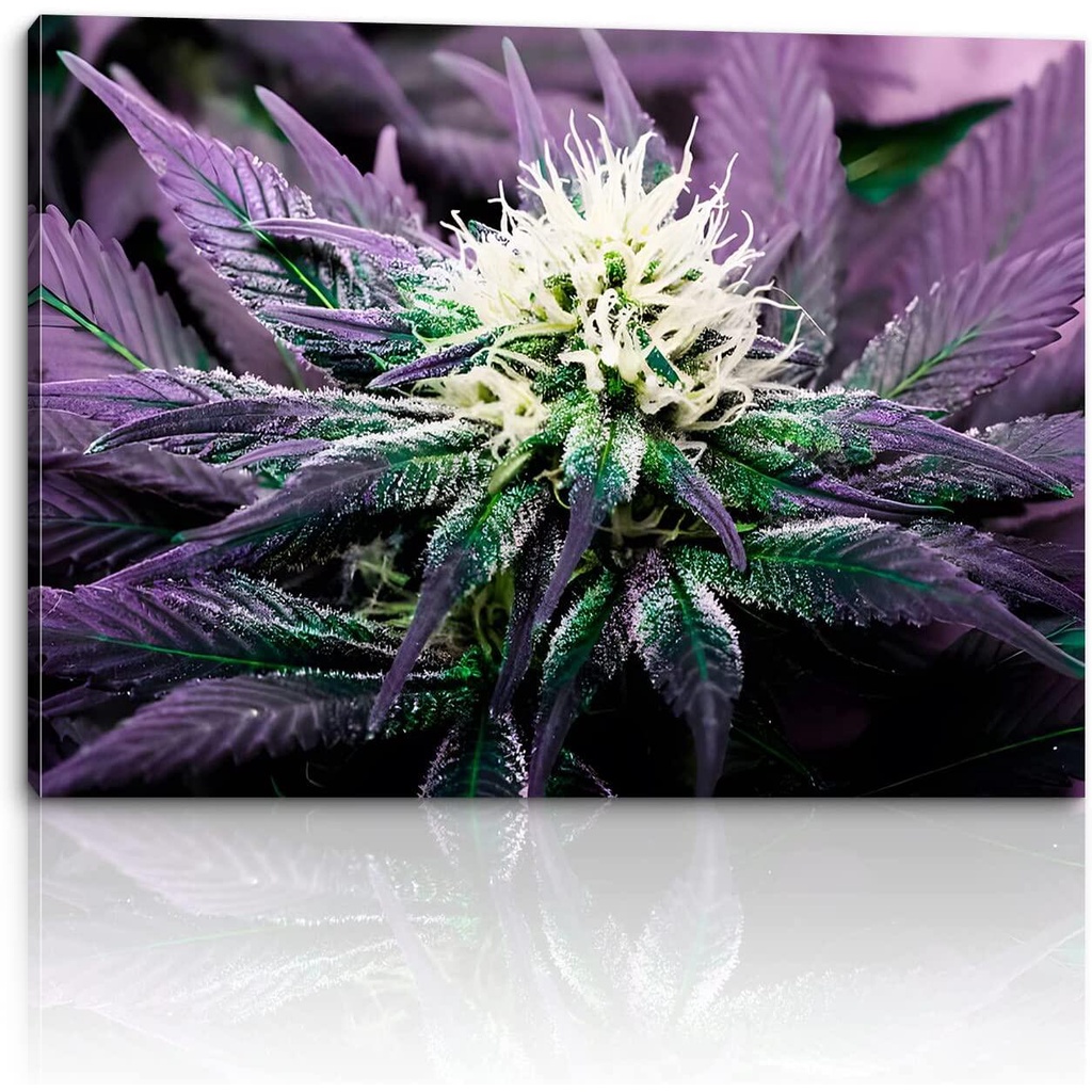 Cannabis ภาพโปสเตอร์ผ้าใบ พิมพ์ลายใบกัญชามาริจูน่า สําหรับตกแต่งผนัง
