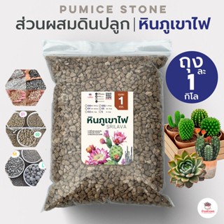 [ 1 กก. ] ส่วนผสมดินปลูก หินภูเขาไฟ แคคตัส ไม้อวบน้ำ กุหลาบห…
