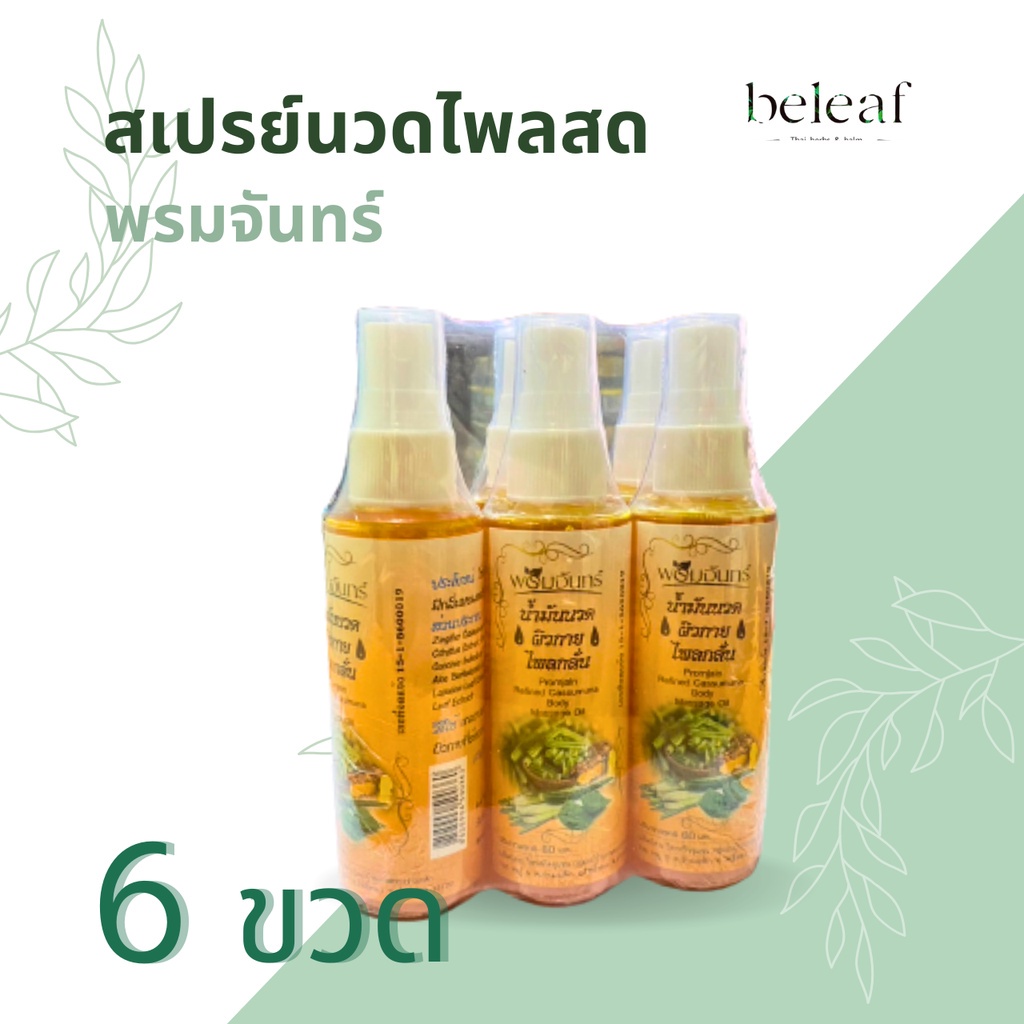 สเปรย์นวดไพลสด พรมจันทร์ (1 แพค = 6 ขวด ) ปริมาณ 60 ml.