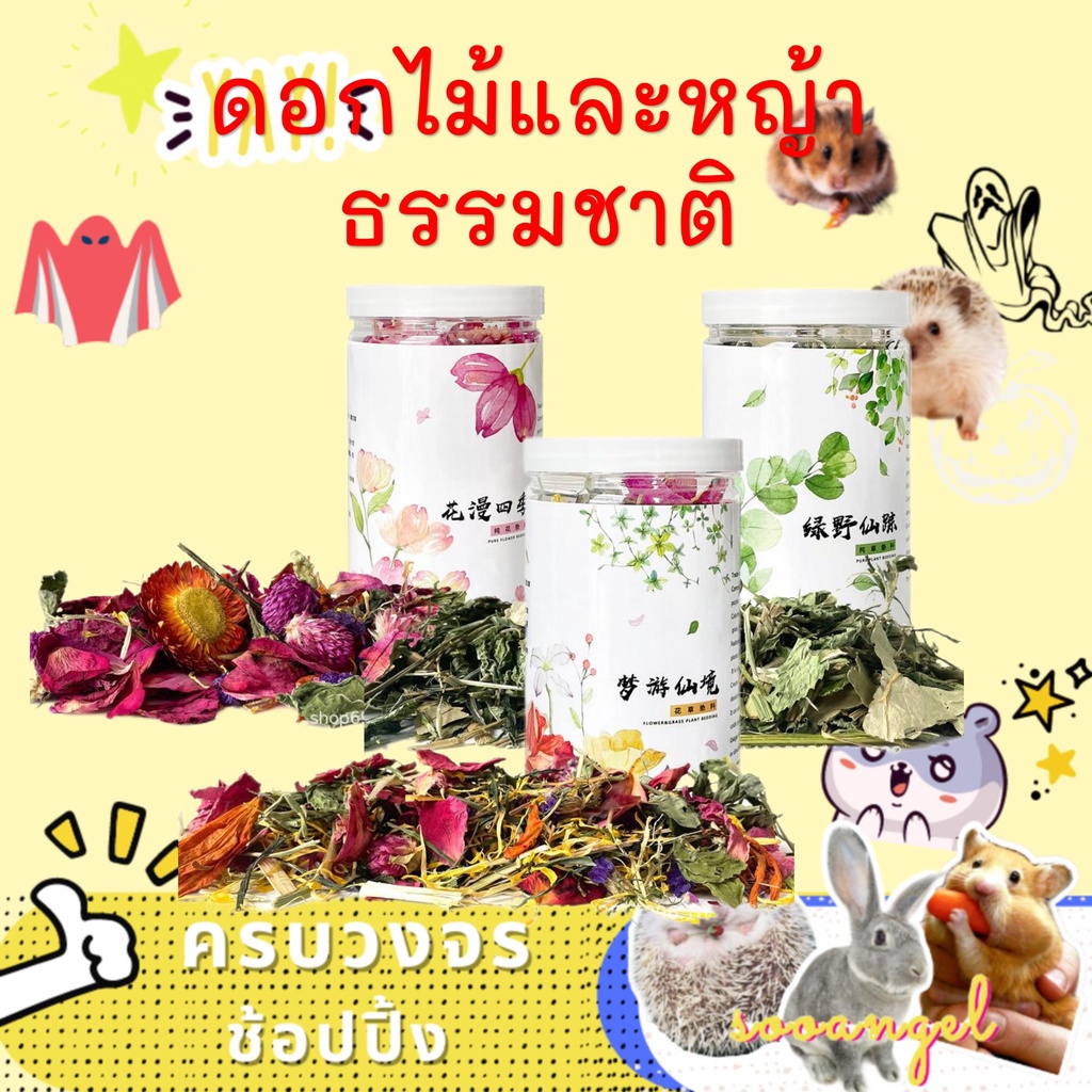 【sooangel】วัสดุรองกรงแฮมสเตอร์แบบดอกไม้แห้ง กลิ่นธรรมชาติ สีสวยสดใส ช่วยเพิ่มบรรยากาศอบอุ่นในกรงสัตว์เลี้ยง