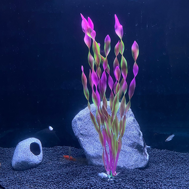 สาหร่ายทะเลประดิษฐ์น้ําพืชสําหรับพิพิธภัณฑ์สัตว์น้ําพลาสติกตู้ปลาพืชน้ําวัชพืชเครื่องประดับหญ้าดูอุปกรณ์ตกแต่ง