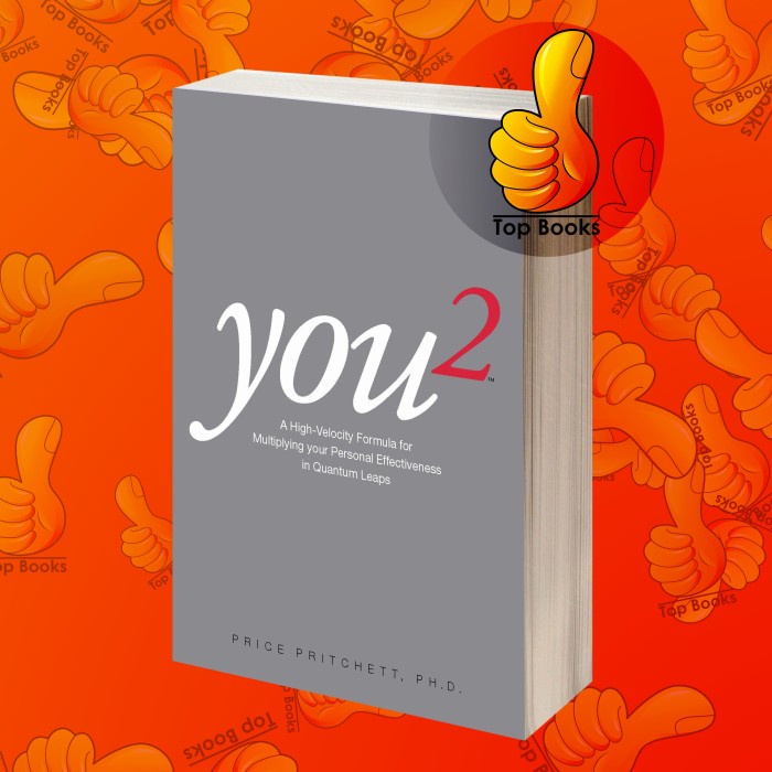 You2 You Squared High Velocity Formula for Multiplying your Personal E (BOOK)