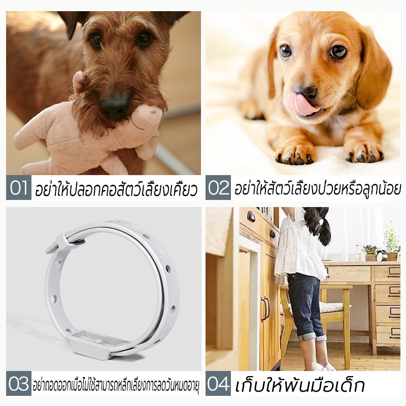 ปลอกคอสัตว์เลี้ยง กันเห็บหมัด สำหรับสุนัขและแมว