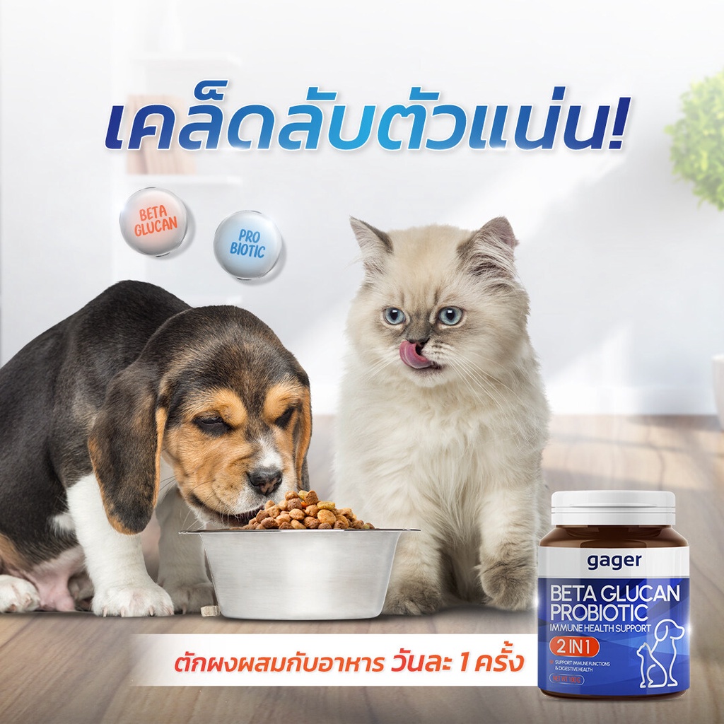 รูปภาพ 7