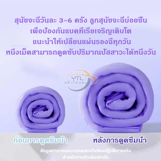YTL แผ่นรองฉี่สุนัข รุ่นใหม่ มีกลิ่นลาเวนเดอร์ ดูดซับอย่างรวดเร็ว มีให้เลือก 4 Size