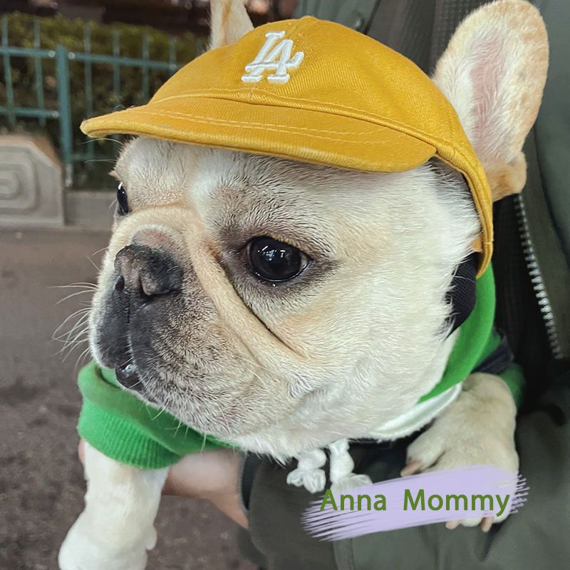 หมวกสัตว์เลี้ยงสไตล์สตรีทหมวกสุนัขหมวกเบสบอลหมวกกันแดดหมวก ears-out style เหมาะสําหรับสัตว์เลี้ยงสวมใส่เมื่อออกไปข้างนอก - รูปที่ 3