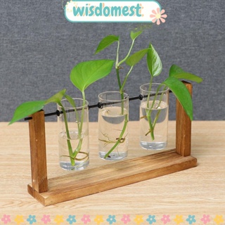 WISDOMEST แจกันต้นไม้ไฮโดรโปนิก กรอบไม้ สําหรับตกแต่งบ้าน ออฟฟิศ