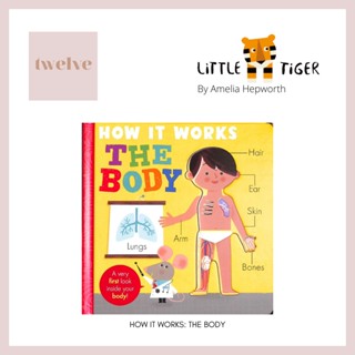 หนังสือ The Body l Board Book By Amelia Hepworth