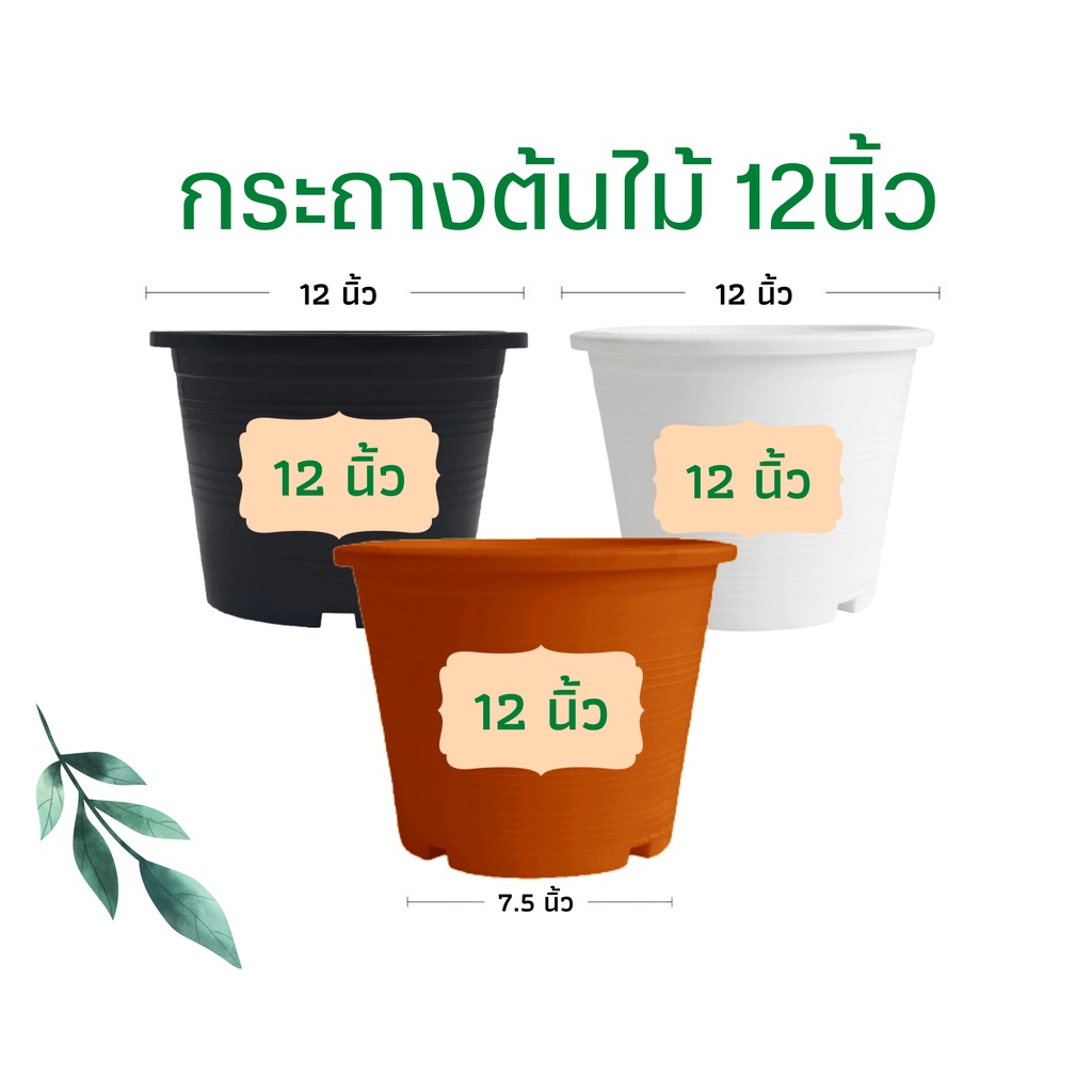 กระถางต้นไม้ 12 นิ้ว กระถางต้นไม้พลาสติก กระถาง สีดำ / สีขาว ราคาส่ง