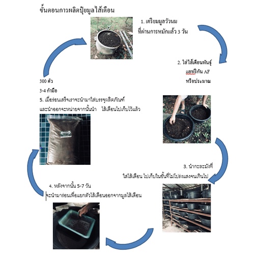 ปุ๋ย มูลไส้เดือน 100% ปุ๋ยอินทรีย์ ปุ๋ยบอนสี ปุ๋ยใส่ผัก ผสมดินปลูกต้นไม้ ราคาถูก เนื้อละเอียด ผสมปลูกแคนตัสได้ - รูปที่ 4