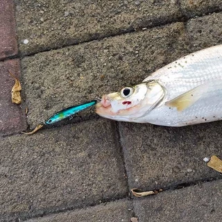 Outkit ใหม่ Sinking ดินสอ Lure น้ําจืดดําน้ําประดิษฐ์ Trembling เหยื่อปลอมสําหรับปลาเทราท์ Pike Perch Tackle Creek Wobblers