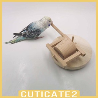 [Cuticate2] ของเล่นไม้ อัจฉริยะ ขนาดเล็ก สําหรับนกแก้ว