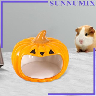 [Sunnimix] อุปกรณ์เสริมเซรามิก สําหรับกระรอก เม่น