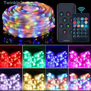 Twinkle สายไฟ Led อินฟราเรด USB สําหรับตกแต่งสวน