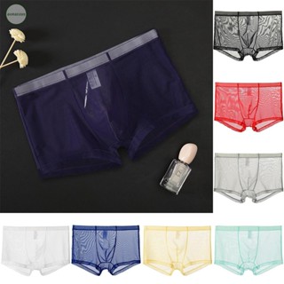 GORGEOUS~Briefs Boxer Mens Mesh See Through Shorts Thin Transparent Trunks Underpant