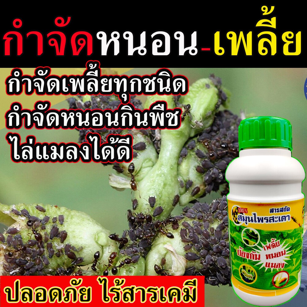 ยาฆ่าเพลี้ย 500 ซีซี (น้ำสะเดา)  ไล่ได้จริง100% ฆ่าเพลี้ยขาว หนอนกระทู้ หนอนด้วง หนอนใยผัก หนอนคืบกะหล่ำ หนอนเจาะสมอฝ้าย