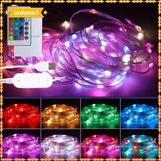 [stdzsw1] สายไฟหิ่งห้อย LED รูปลูกโลก USB สําหรับบาร์ และหลังคา