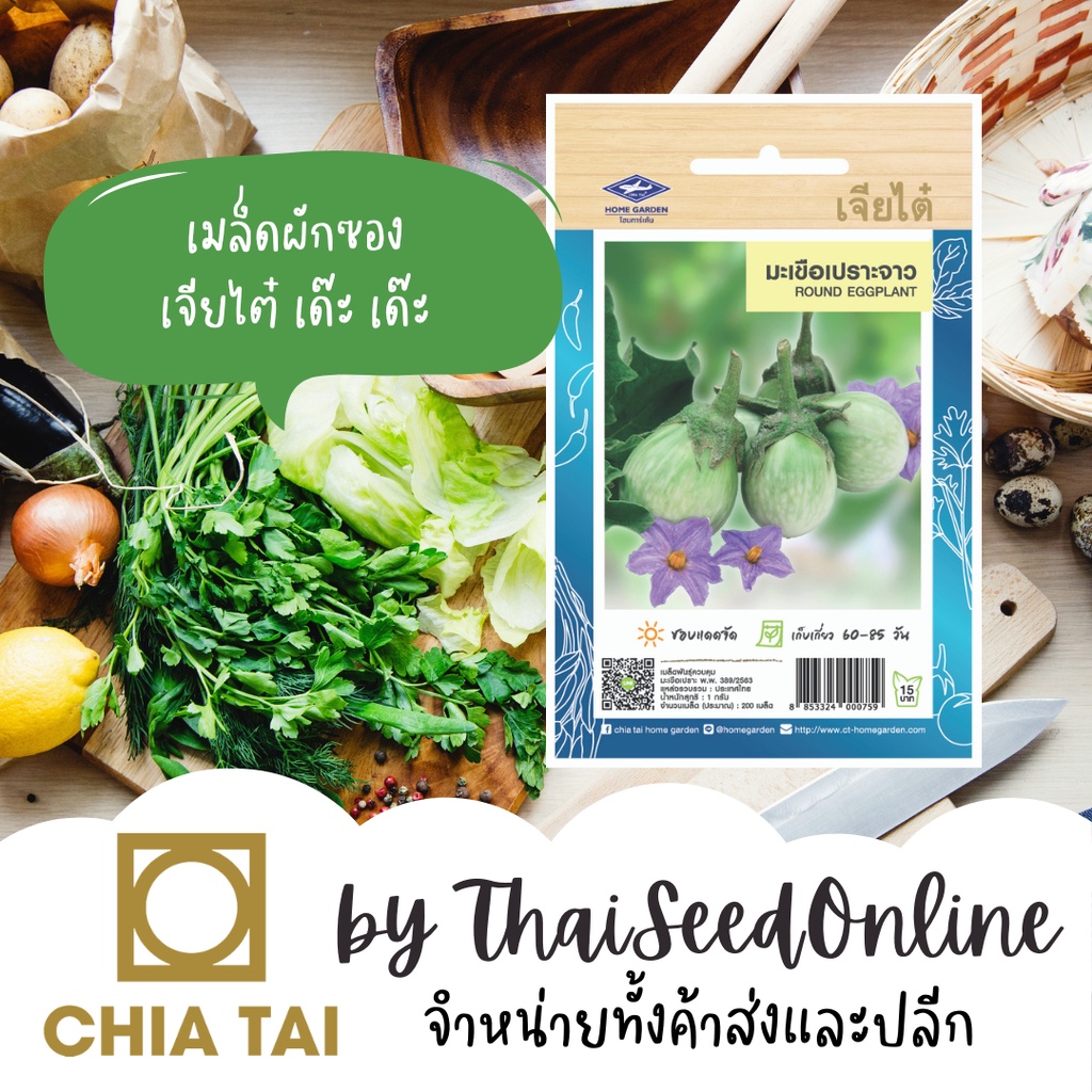 เจียไต๋ CTOP เมล็ดพันธุ์ มะเขือเปราะจาว ตราเจียไต๋ Round Eggplant มะเขือเปราะขาว มะเขือจาว