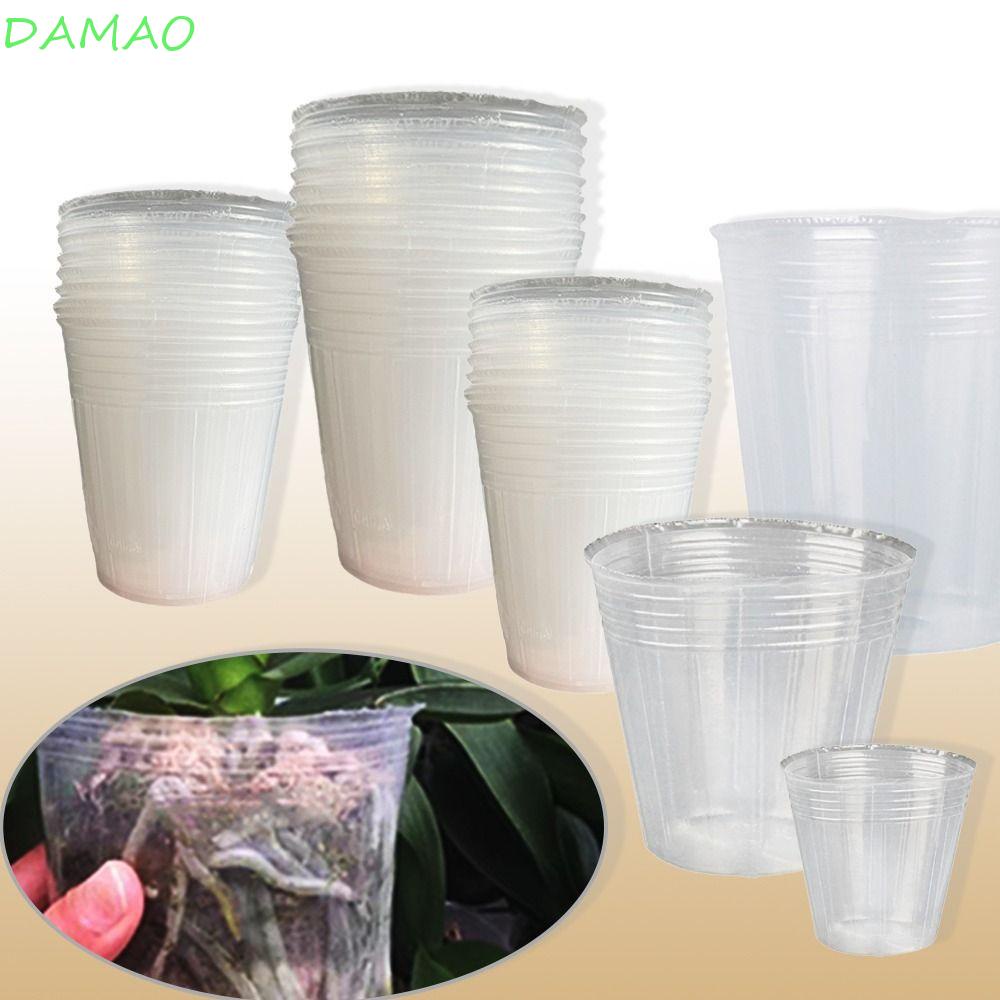 Damao ถ้วยใส สําหรับใส่กระถางต้นไม้ ดอกไม้