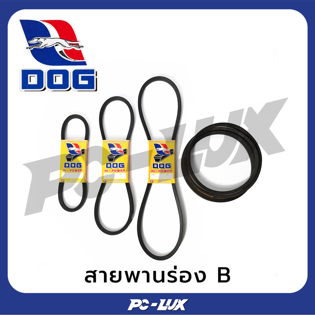 DOG สายพานร่อง B ( รุ่น B82-B197 )