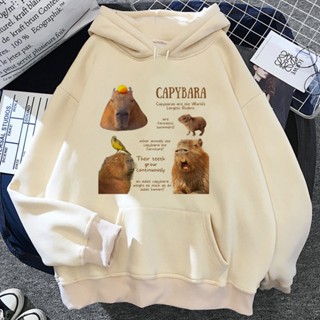 Capybara เสื้อกันหนาวมีฮู้ด ลายการ์ตูนอนิเมะ y2k 90s สไตล์ฮาราจูกุ สําหรับผู้หญิง