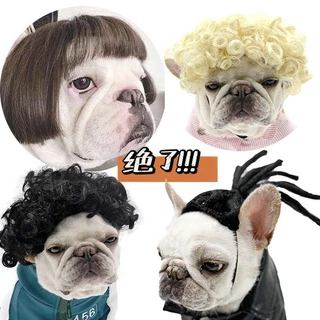 【Wang Cai Pet】วิกผมสุนัขสัตว ์ เลี ้ ยงวิกผมแมว Headdress วิกผมแมวตลกสัตว ์ เลี ้ ยงบทบาทเล ่ นสัตว ์ เลี ้ ยงเครื ่ องแต ่ งกายคอสเพลย ์หมวกวิกผม