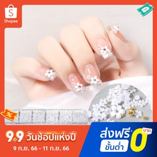 Pota กลีบดอกไม้เรซิ่น สีขาว ขนาดเล็ก สําหรับตกแต่งเล็บ DIY