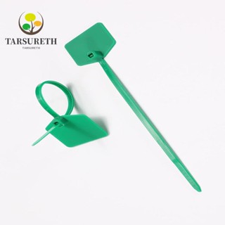 Tarsureth ป้ายแท็กพลาสติกไนล่อน สีเขียว แบบใช้แล้วทิ้ง 100 ชิ้น