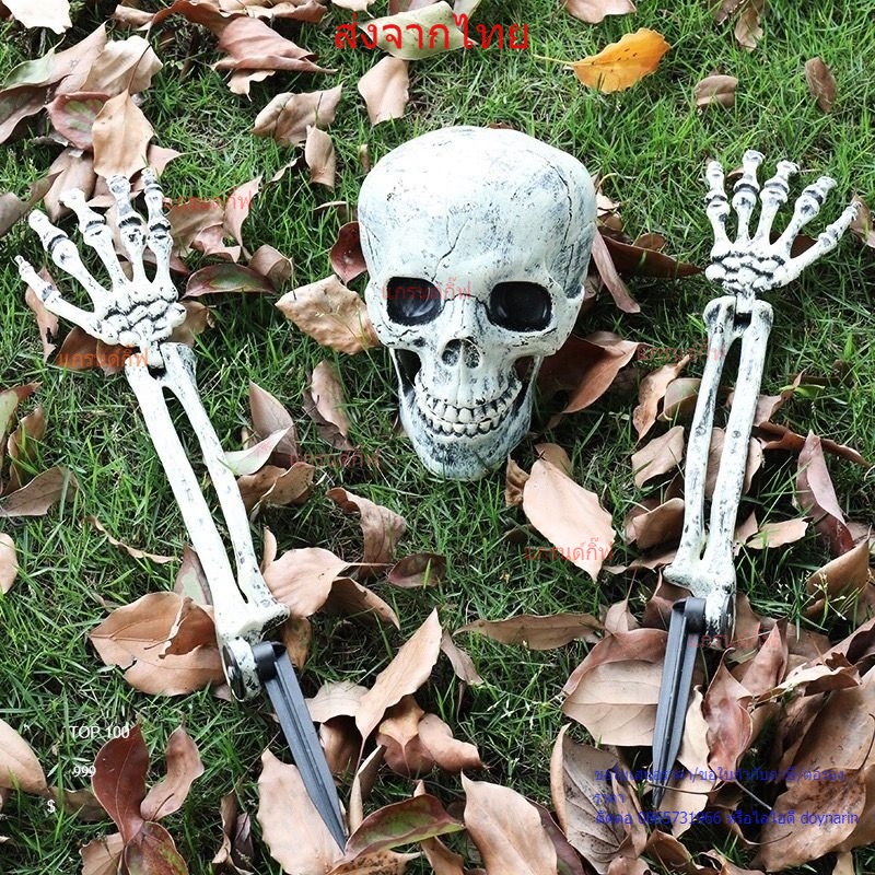 โครงกระดูกเเขน สำหรับตกเเต่งฮาโลวีน เเขนโครงกระดูก กระดูก ปาร์ตี้ฮาโลวีน Halloween