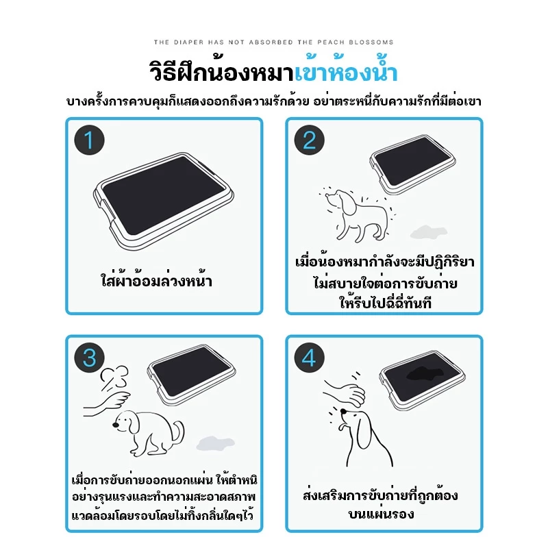 【พร้อมส่ง】แผ่นรองฉี่สุนัข แผ่นรองฉี่ ต่อต้านแบคทีเรีย ซึมซับไดีดี ผ้ารองฉี่ ถาดรองฉี่สุนัข แผ่นรองฉี่แมว thumbnail 9