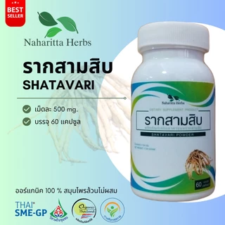 รากสามสิบ Shatavari 100% 60cap. ส่งไว คุณภาพดี