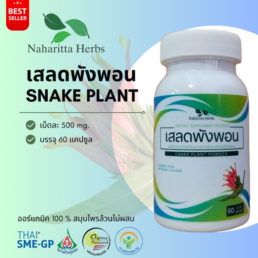 เสลดพังพอน Snake plant 100% 60cap.
