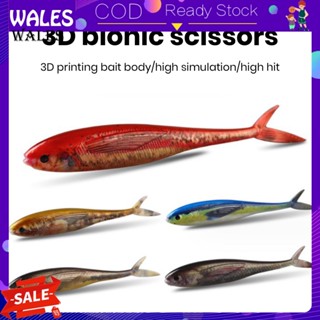 &lt;wales&gt; เหยื่อตกปลาไบโอนิค 3d พร้อมเหยื่อตกปลา 12.5 ซม. 2 ชิ้น 11 กรัม สําหรับตะวันออกเฉียงใต้