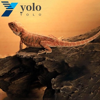 Yolo แพลตฟอร์มเรซิ่น รูปจิ้งจกจําลอง สําหรับตกแต่งบ้าน เต่า สัตว์เลื้อยคลาน