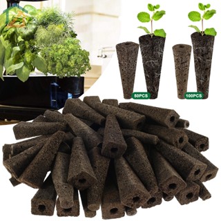 ฟองน้ําปลูกพืช นํากลับมาใช้ใหม่ได้ สําหรับ Hydroponics SHOPCYC4069