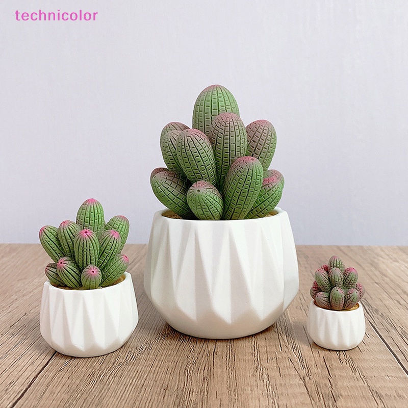 [technicolor] โมเดลต้นกระบองเพชรอวบน้ําจิ๋ว สําหรับตกแต่งบ้านตุ๊กตา 1/4 ชิ้น