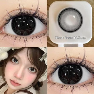 Midroo เลนส์แฟชั่น คอนแทคเลนส์สีกรองแสงคอนเทค Black/Brown Bean ค่าสายตาปกติ Contact Lens 14.2mm