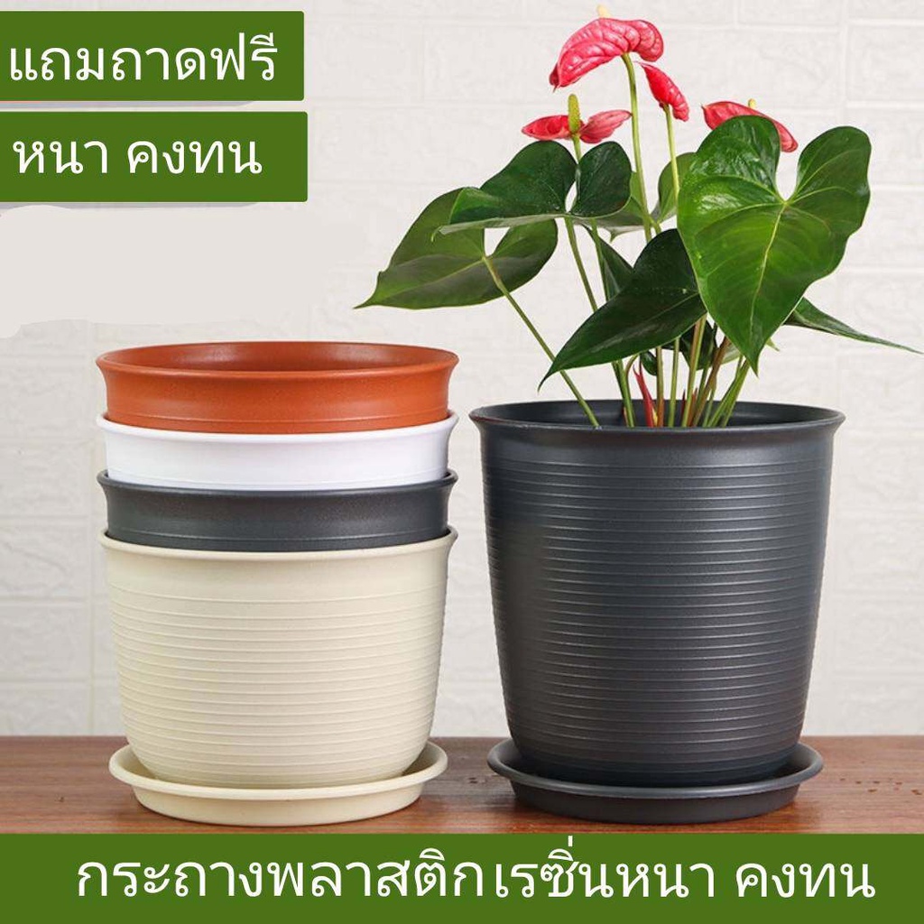 กระถางพลาสติกพร้อมจานรอง ปลูกต้นไม้-ดอกไม้  ทรงโมเดิร์น มีหลายสีให้เลือก บ้านและสวน TCยาว