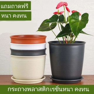 กระถางพลาสติกพร้อมจานรอง ปลูกต้นไม้-ดอกไม้ ทรงโมเดิร์น มีหลายสีให้เลือก บ้านและสวน TCยาว