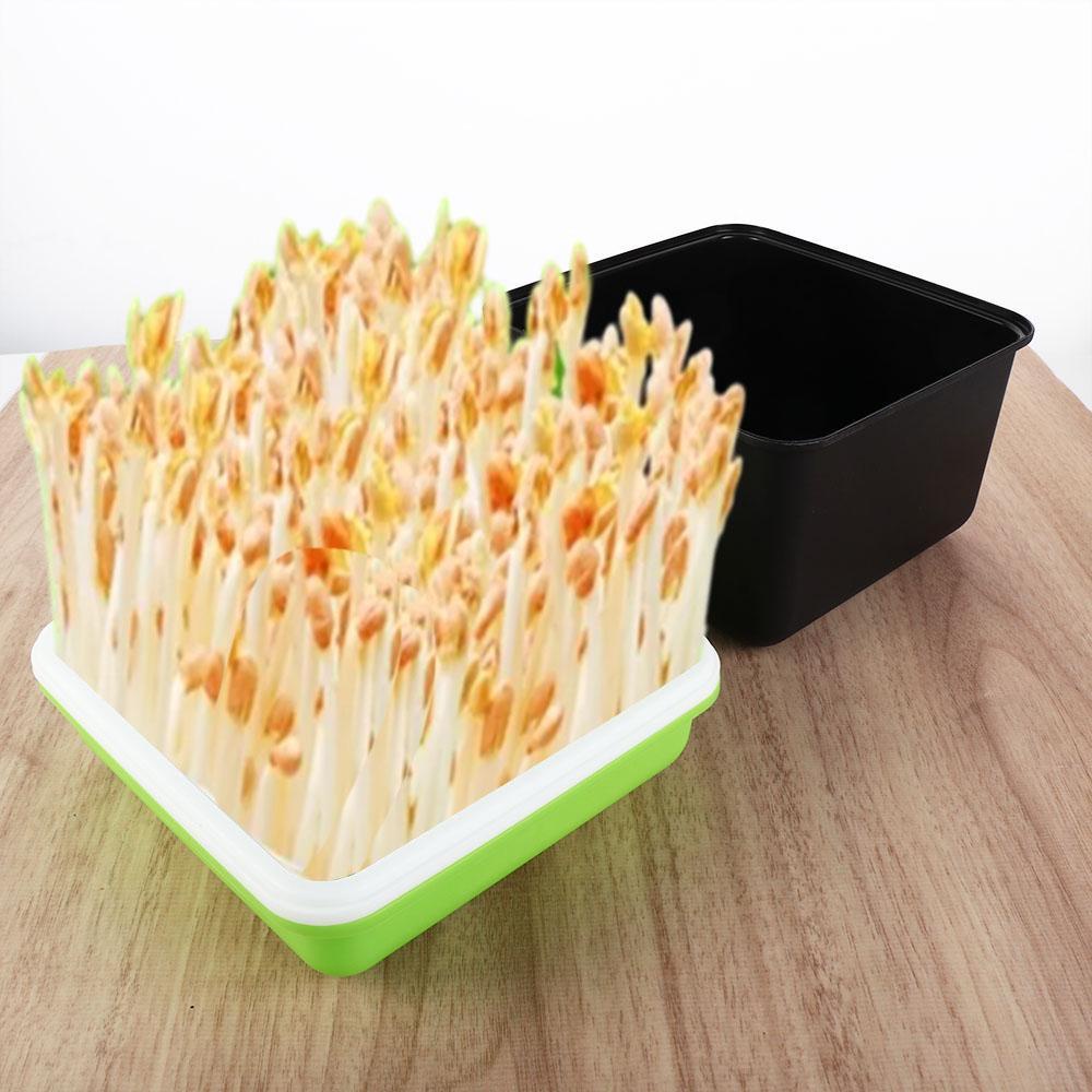 ถาดเพาะกล้า IONSKY มัลติฟังก์ชั่น 4 ชิ้น ถั่วถั่วลิสง พืชถั่วงอก ไร้ดิน การเพาะปลูกน้ํา อุปกรณ์สวน - รูปที่ 6