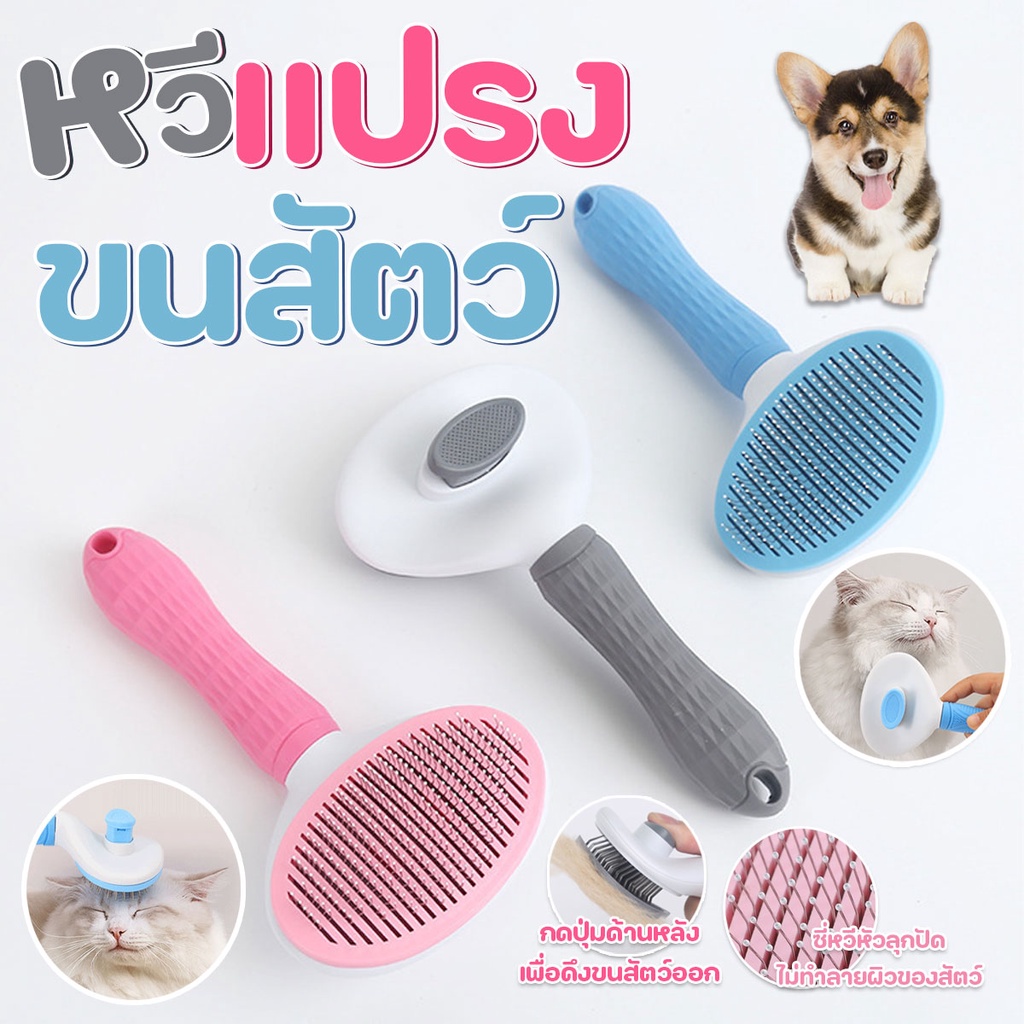 ลด10% โค้ด DDXDECW4 หวีแปรงขนสุนัขและแมว หวีแปรงขนสัตว์เลี้ยง มีที่ดันขนสัตว์ออกจากแปรง รูปวงรี