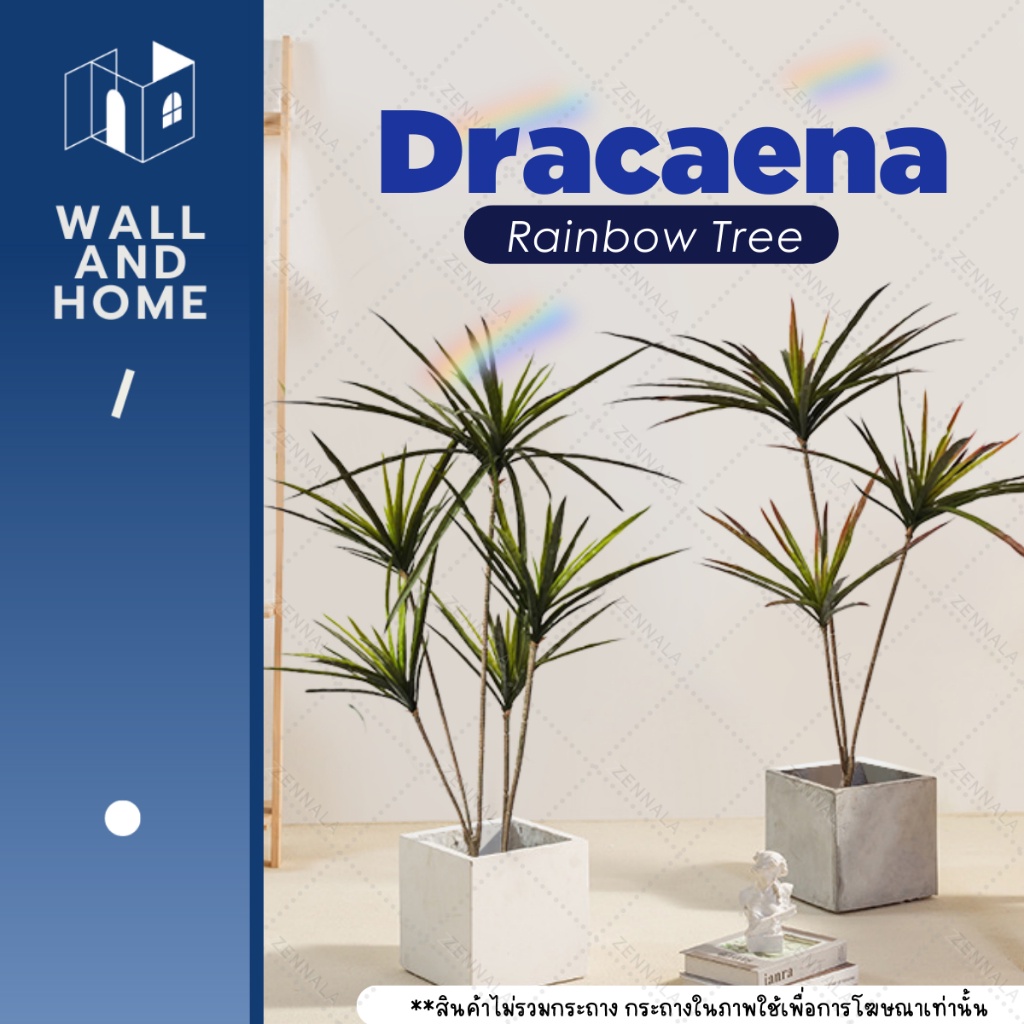 ต้น Dracaena rainbow tree 120cm 3ช่อ / 5ช่อ ต้นเข็มสามสี ต้นดราแคนนา ต้นไม้ปลอม สินค้าพร้อมส่งจากกทม.